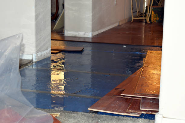 Professional Basement Water Removal technician working in Centerville, WA